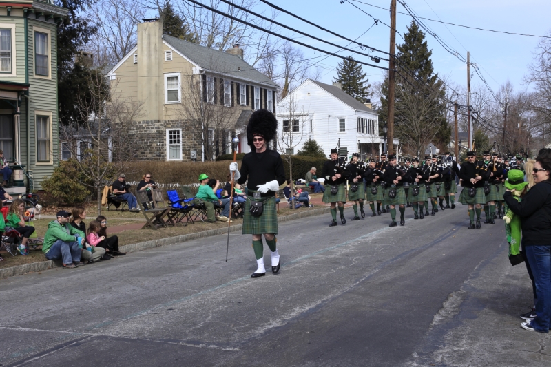 Hamilton Parade 2014