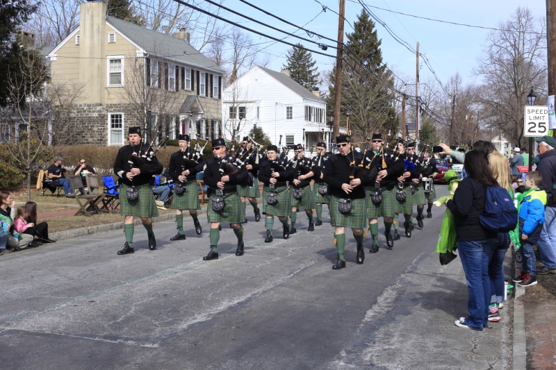 Hamilton Parade 2014