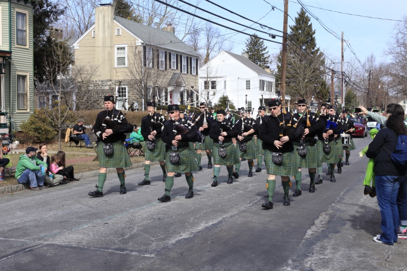Hamilton Parade 2014