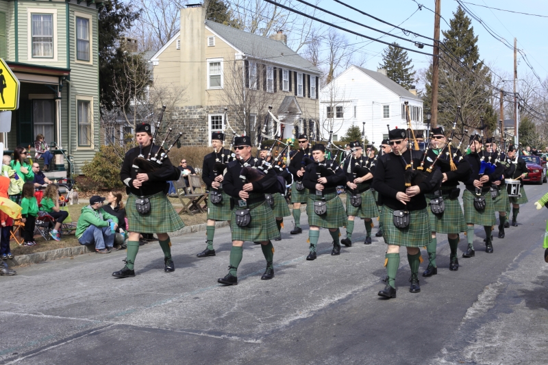 Hamilton Parade 2014
