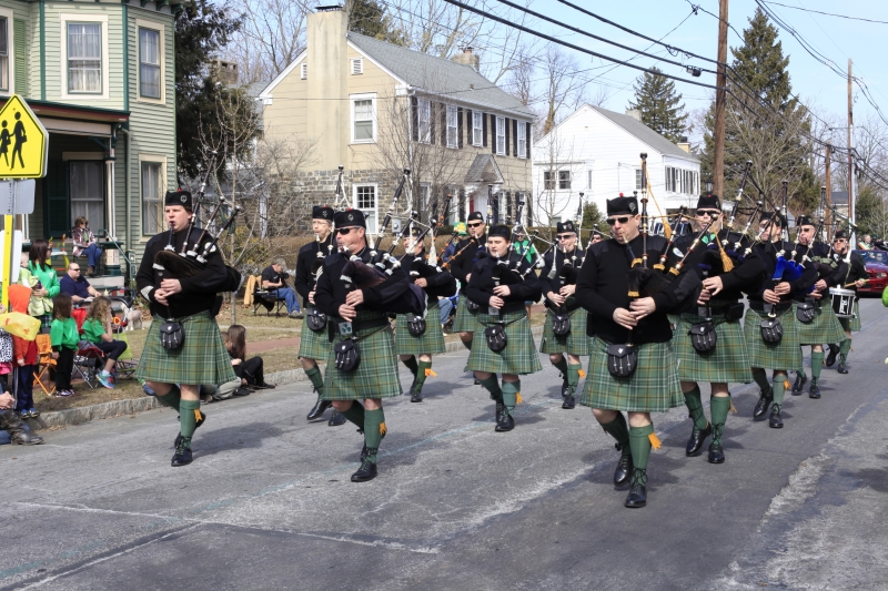 Hamilton Parade 2014