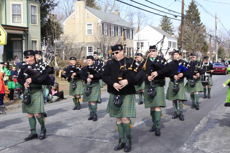 Hamilton Parade 2014