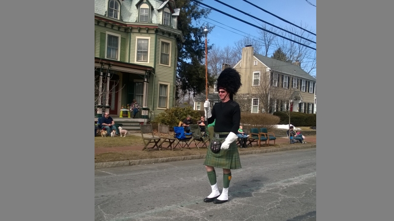 Hamilton Parade 2014