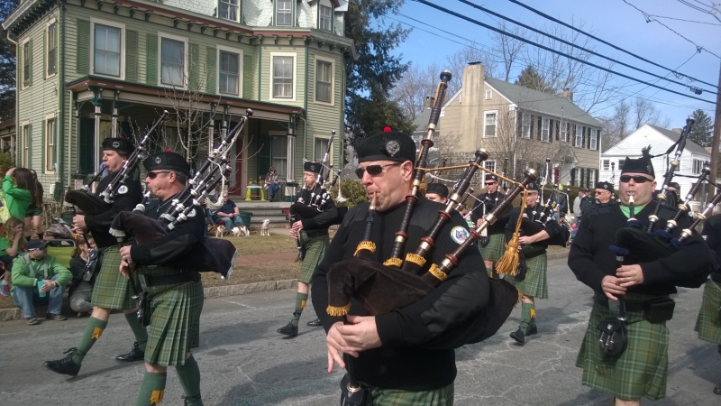 Hamilton Parade 2014